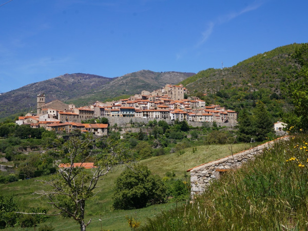 French Pyrenees